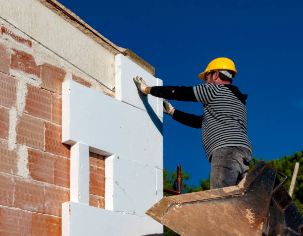 Best Home Insulation Services  in USA